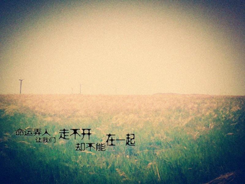 駐馬店房產網zmdfcw.com