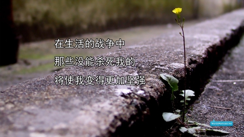 美國日常用品有哪些品牌