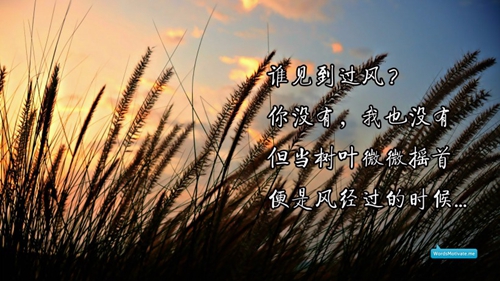 忘掉所有大步往前走什么歌