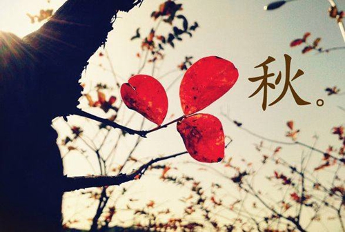 陪你的短句