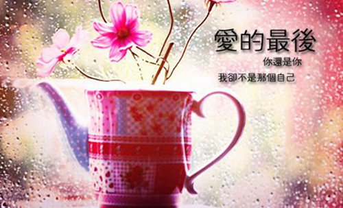 歲月靜好，你的心情短語是什么？ ——探索心靈深處的微妙情感，發現那些溫暖人心的句子，讓朋友圈成為分享心情的小天地。