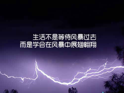 金紡品牌有哪些